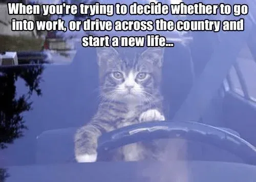 It's hard to make decisions before 9 AM