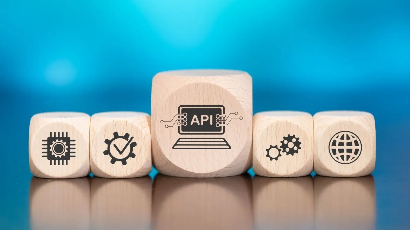 Plum RaaS API