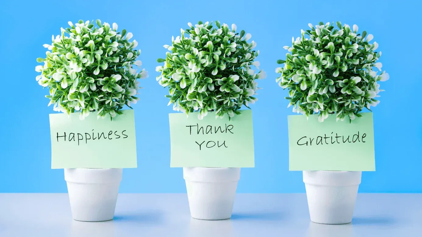 Culture of Recognition and Gratitude