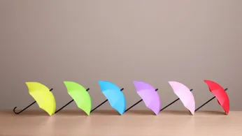 Diversity and Inclusion in the Workplace